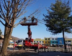 학교수목전지(나무전지)