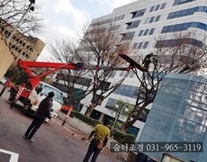 나무전지 회사 도로 주변 수목관리