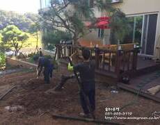 주택 소나무 조경공사