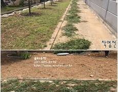 공장조경관리 제초작업 현장
