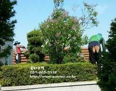 옥상정원관리, 조경관리업체