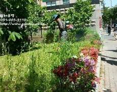 회사 화단 정원관리, 조경관리업체