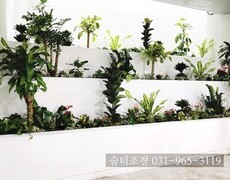 실내 화단조경 시공(공기정화 관엽식물 식재)