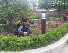 회사화단관리, 조경관리업체