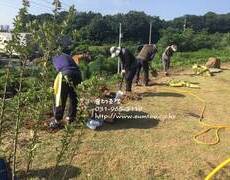 조경공사(울타리시공)
