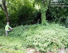 펜션조경관리, 정원관리 현장