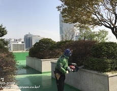 건물관리, 옥상조경관리