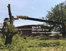 조경공사현장 대형목제거, 나무제거공사