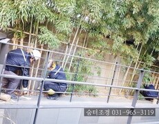 수목월동 나무보온작업
