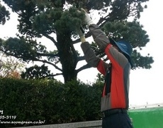 조경관리(오엽송전지)