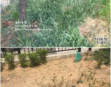 화단 정원 제초작업 