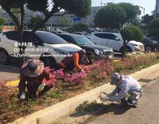 회사 제초작업 조경관리 