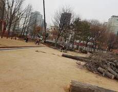 수목제거 벌목공사 전문업체
