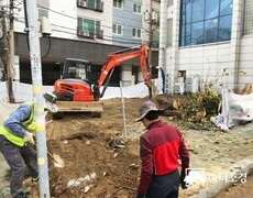 가로수 나무제거 벌목공사 작업 현장
