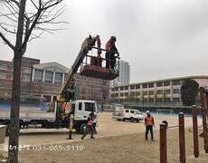 학교수목제거 나무제거 나무전지 잘하는업체