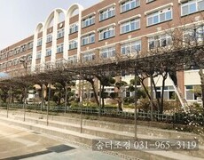 학교 파고라 등나무 넝쿨제거 작업 수목전지, 나무전지 