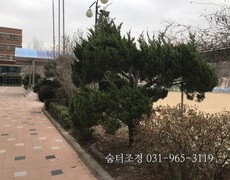 학교수목전지 작업