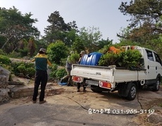 전원주택조경 조경관리 정원관리 작업 현장