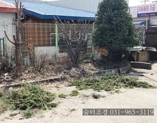회사 공장 수목전지 작업 조경유지관리
