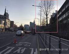 학교수목전지 대형나무전지 조경전문업체