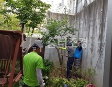 주택 정원 관공서 조경관리 작업 현장