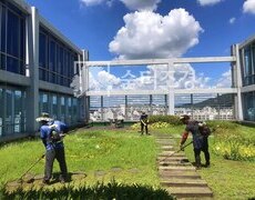 조경관리 관공서 옥상조경 예초작업, 조경관리업체