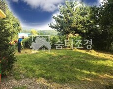 단독주택 마당 나무제거 및 조경공사 현장