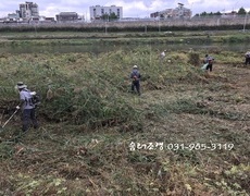 하천 예초작업 제초작업 공사