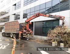 나무철거 조경철거 조경전문업체