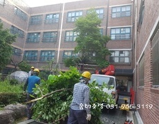관공서 학교수목전지작업 현장 