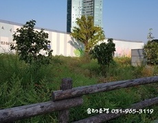 관공서 공원녹지 예초작업 제초작업