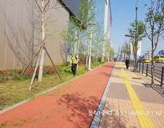 제초작업 예초작업(조경관리)