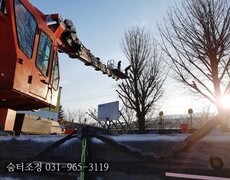 운동장수목전지 나무제거 전지작업잘하는업체