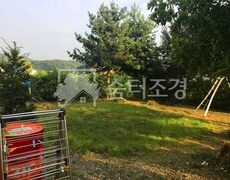 단독주택 마당 울타리 나무제거 현장