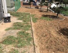 회사 제초작업 조경관리 현장