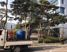 소나무소독 수목 병충해방제