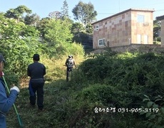 예초작업, 주택 마당 제초작업 
