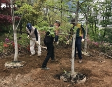 신축 건물조경 준공조경공사 조경식재작업
