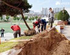 학교 관공서 조경식재공사 화단조적시공