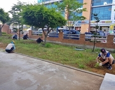 회사정원관리 제초작업 조경관리 현장