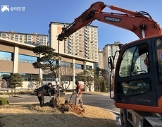 관공서 조경식재공사 작업 현장