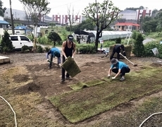 마당 잔디조경 롤잔디 시공현장 조경공사