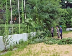 학교 운동장 잡목제거 나무가지치기 작업