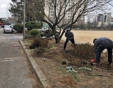 관공서 철쭉 조경식재공사