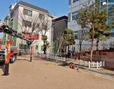 학교 수목전지 나무정리 작업