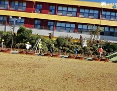 학교 화단 수목관리 현장