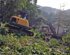 임야 나무벌목 수목제거 작업 현장