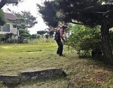 주택 마당 조경관리 예초작업