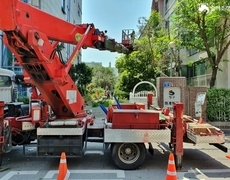 수목전지 나무가지치기 현장