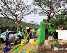 주택 마당 휀스시공 조경시설물 시공